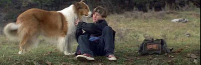 Lassie