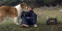 Lassie