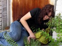 Consumul de droguri are efecte dezastruoase asupra organismului
