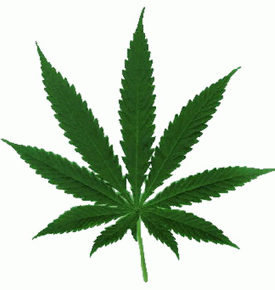 Adevarul despre marijuana