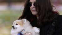 Ozzy Osbourne, devastat de moartea mascotei lui, catelusa Little Bit