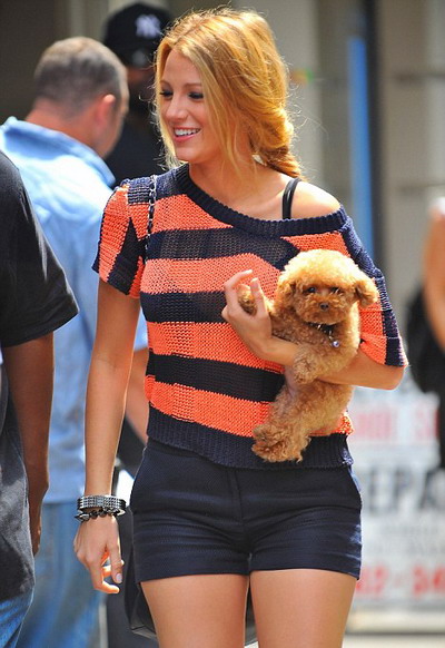 Blake Lively, Serena din "Gossip Girl", isi asorteaza culoarea parului cu... a catelusei pe care o plimba cu ea!
