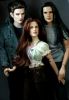 Twilight Dolls by Tonner - Edward, Bella si Jacob