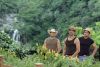 Roberto Manrique - 