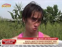 Elena isi acuza vecinii ca i-au omorat cainele in bataie si apoi l-au ingropat in propria lor curte