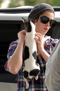 Ashley Greene nu se desparte de catelusul ei, Marlow!