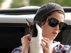 Ashley Greene nu se desparte de catelusul ei, Marlow!
