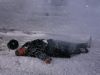 Pentru prologul serialului “Aniela”, la 37°C s-a facut iarna in doar doua ore! FOTO!