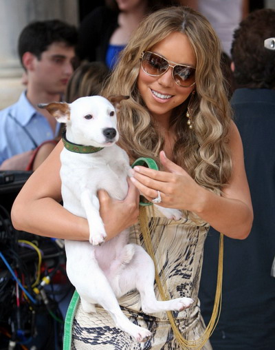 Cainele lui Mariah Carey a murdarit-o de pipi, exact inainte ca ea sa urce pe scena!