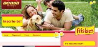 Sunt simpatic, ce ma fac? - CONCURS de frumusete canina!