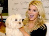 Dupa ce si-a pierdut iubitul, Jessica Simpson si-a pierdut si catelusa!