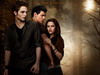 Voteaza melodia preferata de pe coloana sonora a filmului “The Twilight Saga: New Moon”!