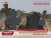 Copilasul de numai cinci luni, care a murit intr-un accident de masina, a fost inmormantat