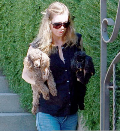 Ellen Pompeo este innebunita dupa cei doi pudeli ai ei, Gigi si Valentino! GALERIE FOTO!
