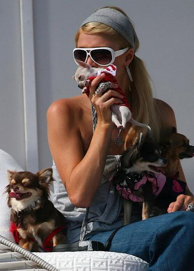 Paris Hilton este condamnata de PETA pentru ca foloseste animalele pe post de accesorii!