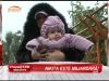 Nikita e miliardara!