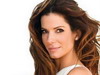 Sandra Bullock se lupta cu o fosta starleta porno pentru custodia fetitei sotului ei!
