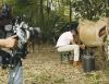 Christian Meier (Santos) a invatat sa mulga vaca