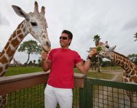 Fernando Colunga se relaxeaza cu delfinii si girafele!