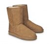 UGG pentru barbati