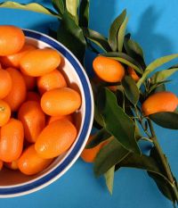 4 fructe exotice care te mentin supla