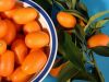 4 fructe exotice care te mentin supla