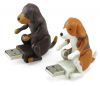 Catei care „calaresc” USB-ul!