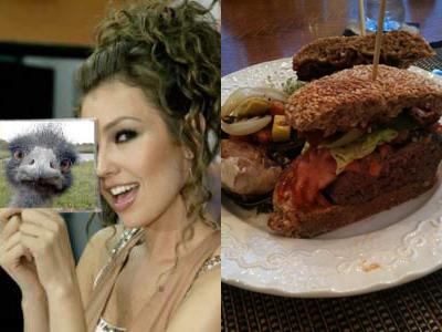 Thalia, rasfat culinar cu hamburgeri din carne de strut? Nu prea!
