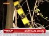 Un barbat si o femeie au fost gasiti spanzurati de acelasi copac! Sa fie vorba despre dubla sinucidere sau dublu asasinat? VIDEO