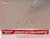 Un barbat din Botosani s-a sinucis dupa ce sotia sa a aflat ca incerca s-o otraveasca, punandu-i mercur in cafea! VIDEO