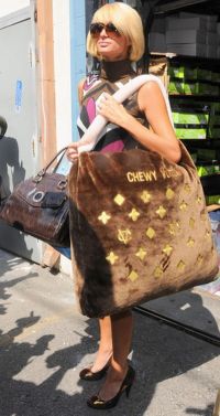 Leacul pentru inima ranita a lui Paris Hilton costa 23.000 de dolari pe zi 