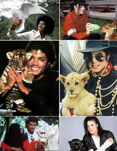 ALBUM FOTO cu MJ si animalele sale preferate!