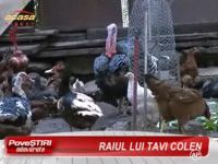 Tavi Colen isi prezinta casa de vis din inima Bucurestiului - VIDEO