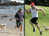 Matthew McConaughey sau Kellan Lutz? Care dintre ei are cel mai dragut catel – GALERIE FOTO