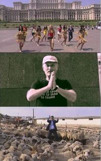 Imnul crizei, “KK-MAKA”, poate fi urmarit pe src.protv.ro si protv.ro