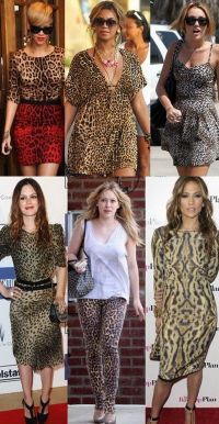 Vedetele obsedate de animal print – GALERIE FOTO