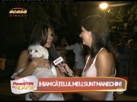 Catelusii vedetelor pe post de modele - VIDEO