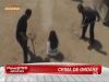 Crima de onoare: Iranianca Zari vorbeste despre atrocitatile traite de multe femei din tari musulmane -VIDEO