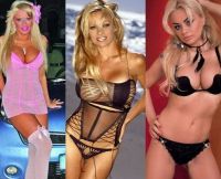 Ce concurenta are Pamela Anderson  in Romania