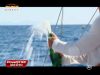 "Iubire si onoare" - povestea din spatele povestilor - VIDEO