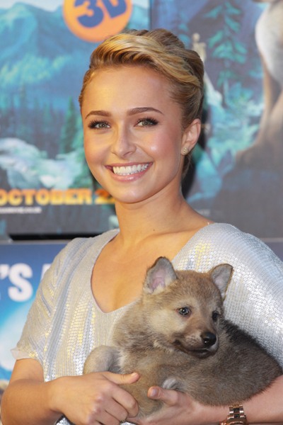 Hayden Panettiere, cu un pui de lup in brate la premiera filmului animat “Alpha and Omega” - FOTO