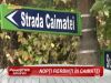 O marturisire-soc pune intr-o noua lumina casa din strada Caimatei, disputata de fratii Dolanescu - VIDEO