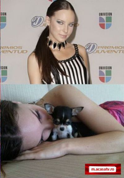 Belinda a dat 4.000 de dolari pe un catelus chihuahua