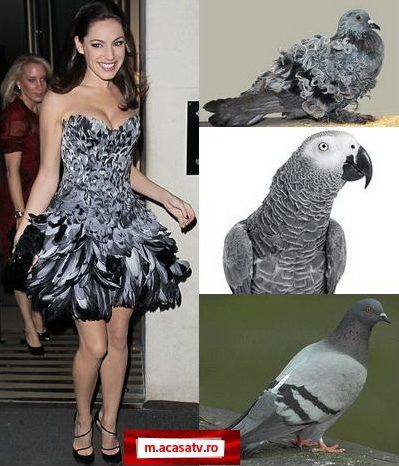 Kelly Brook  - papagal sau porumbel? – GALERIE FOTO