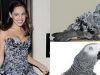 Kelly Brook  - papagal sau porumbel? – GALERIE FOTO