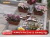 Mormantul lui Ion Dolanescu, vizitat de foarte putini oameni - VIDEO