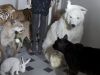 Animale impaiate in cea mai noua colectie Lanvin: genial sau infiorator?