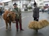 Catalin Maruta s-a plimbat cu vaca prin Bucuresti - GALERIE FOTO