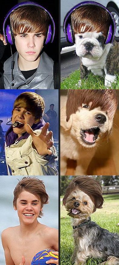 Justin Bieber, in varianta canina – GALERIE FOTO