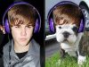 Justin Bieber, in varianta canina – GALERIE FOTO
